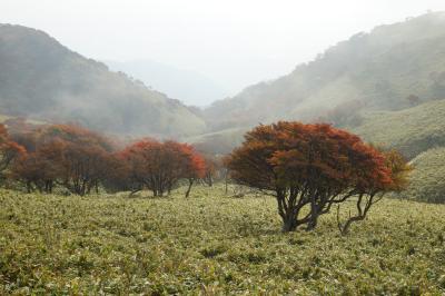 竜ヶ岳登山