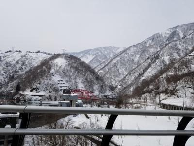 美味しいもの食べに氷見にgo