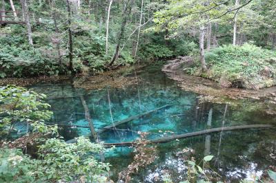 2017年9月：道東ロングドライブ：神の子池→釧路湿原→根室中標津空港へ