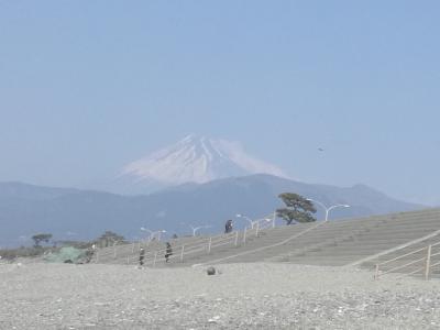 新幹線こだまで行く伊豆・箱根1泊2日