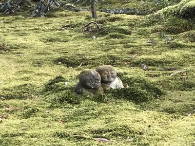 夜行バスで行く、京都・大阪旅行