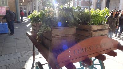 ロンドン＆パリ母娘旅 9日間②【LONDON2日目 マーケット編】