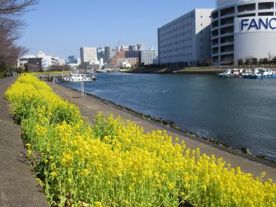 品川・東大井周辺散歩