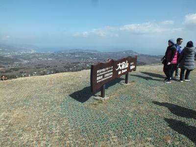 大室山頂と東伊豆ドライブ河津桜祭り