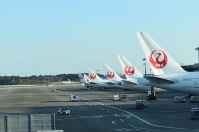 JAL(日本航空)とAAL(アメリカン航空)で行く、アメリカ アリゾナ州 ①