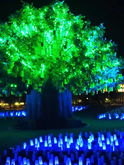 蒲郡-5　ラグナシアｄ　「光の草原」シンボル樹木＆彩色ランタンの電飾　☆煌めく灯り変化して