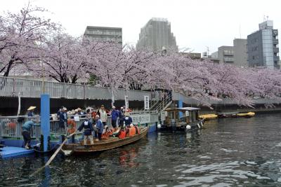 不良夫婦 船で揺られて桜遊覧