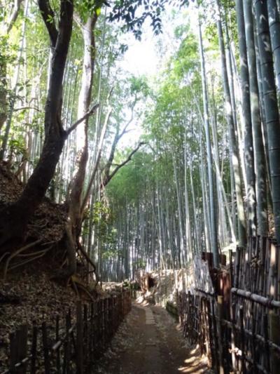佐倉をプチ駅からハイキング2018春～坂と歴史のまちを歩く～