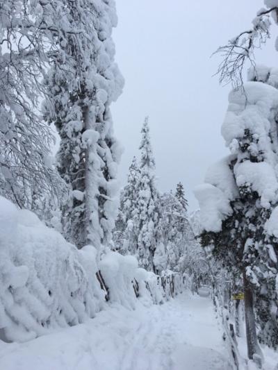 初めての北欧！北極圏突入！フィンランド編