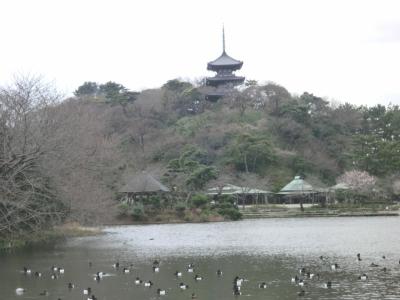 横浜三渓園から中華街へ