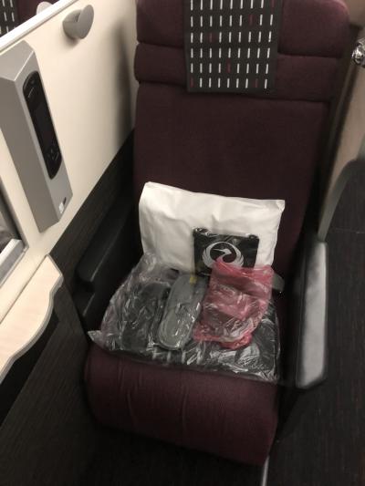 家族でハノイ、初日。往路JAL751便SKY SUITE 787搭乗記