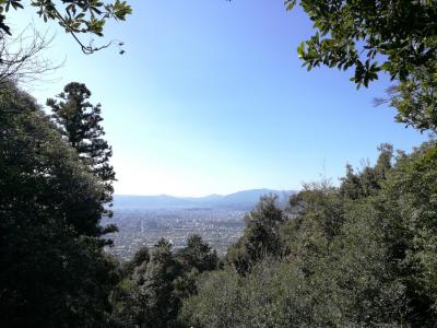 出張RUN 京都一周トレイルランニング　東山