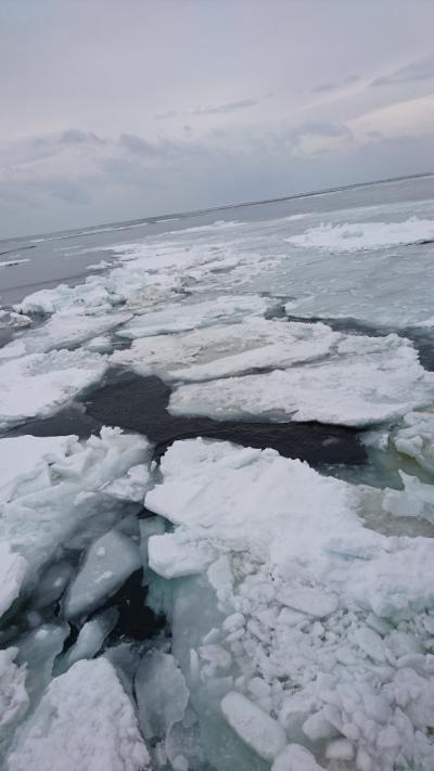 とらべるまんの北海道2018年　流氷はどこだ　2/5