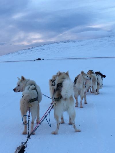 家族4人の海外旅行はもうないと思っていたのに　成人している子供達がついてきたアイスランド④
