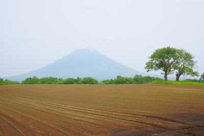 初夏のニセコ旅１＊泊まれるGreen Tea Cafe編