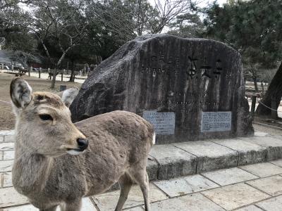 奈良　日帰りの旅