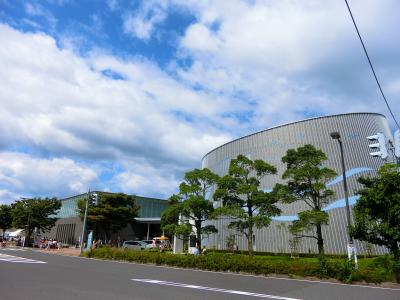 敦賀港おもてなしフェアー　ダイヤモンド・プリンセス　納涼の日本海と宮崎・韓国９日間