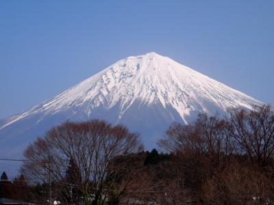 二日目　白糸の滝　音止の滝　観光