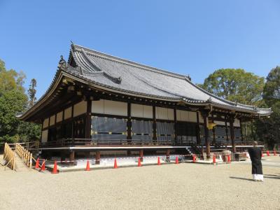 ３月中旬の京都の旅（１）ー仁和寺ー