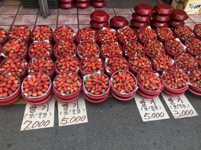 釜山 一人旅 一人飯 2、3日目  また行きたくなるプサン