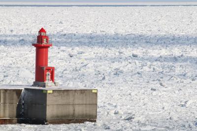 北海道の旅　２０１８ 流氷を追い求めて