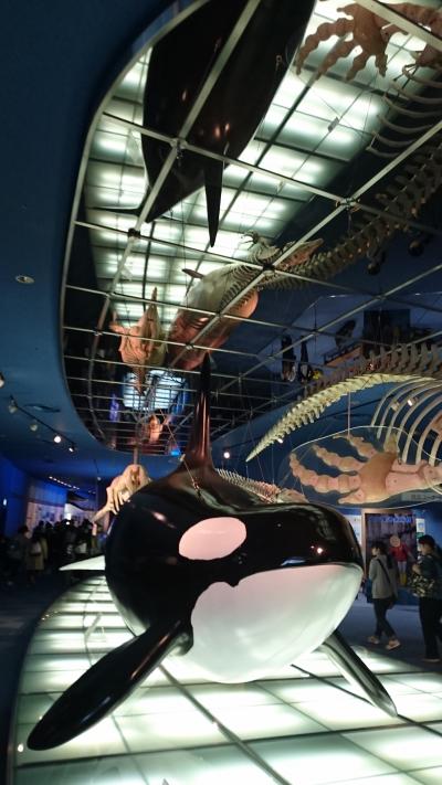 青春18きっぷで名古屋へ　水族館と名古屋城と名古屋めし