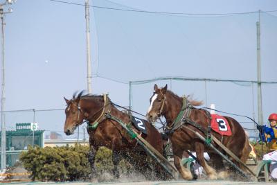 十勝川温泉と帯広ばんえい競馬（後）