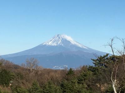 修善寺旅行 お正月