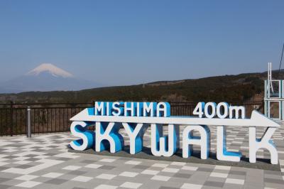 富士山を見に静岡へ