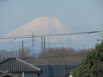 久しぶりに見られた富士山