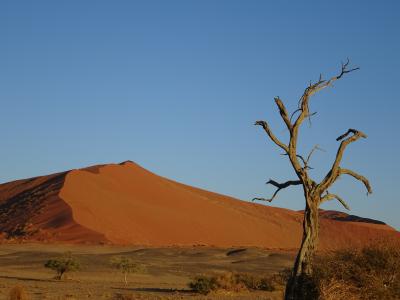 絶景を求めて、遠かった南部アフリカVol.3(ナミブ砂漠）