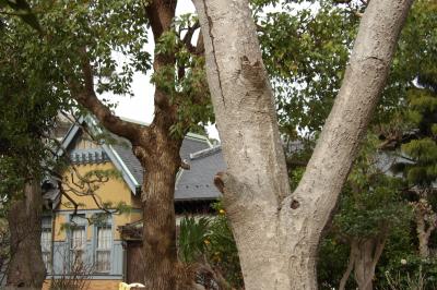 伊東邸－2018年春