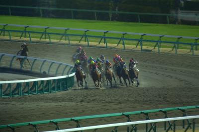 中山競馬場に行ってみた。