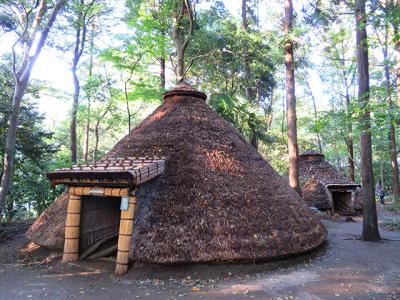 松戸市博物館+市川考古博物館+おまけ（モンチッチ公園）