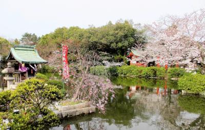 ２０１７年京都　４月５日　その８　神泉苑の桜