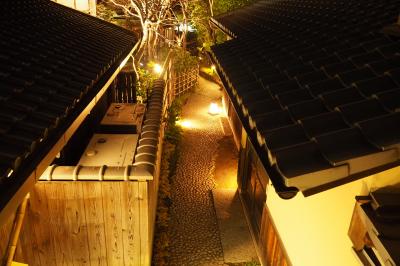 今回のターゲットは祇園・東山！2018春の京都旅〈２〉揺れる火影☆東山花灯路