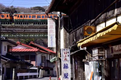 ありがとう115系、引退間近なカボチャ色の列車とJR上越線・利根川周辺に広がる棚下の風景を見に訪れてみた