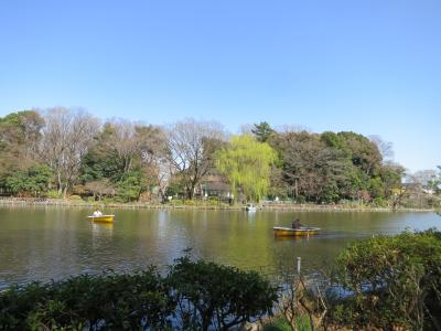 心の安らぎお散歩（2018年　杉並区　善福寺公園をお散歩）