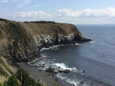 みさきまぐろきっぷで春の三浦半島を満喫