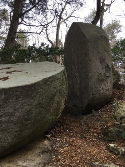 堅破山 たつわれさんハイキング