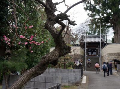 大山街道を歩く　（宮前平～江田）