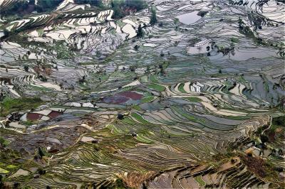 ハノイから陸路中国の雲南省へ 4 中国入国 元陽へ