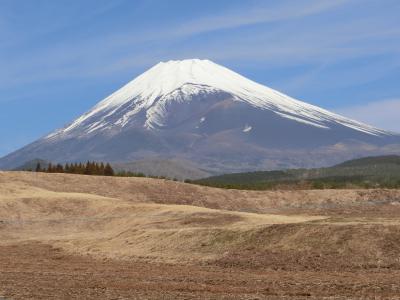 不良会社員が行く　静岡ドライブ出張?!! ～久々のお泊りは静岡へ・2日目編～