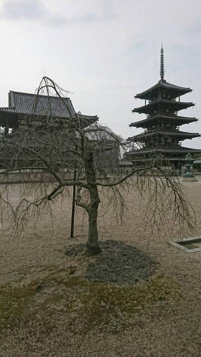 シニアトラベラー! 観光タクシーで日帰り楽々奈良満喫の旅