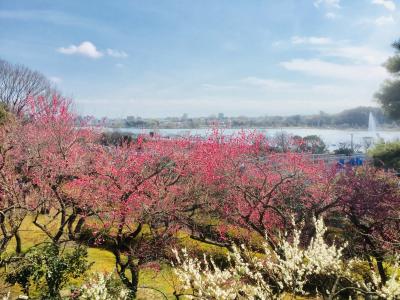 早春の水戸・大洗   日帰り