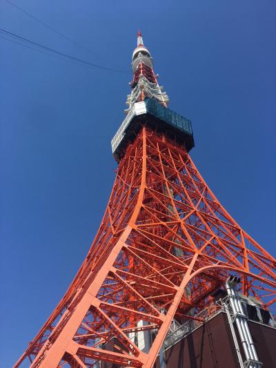お昼の東京タワーと周辺日帰り観光