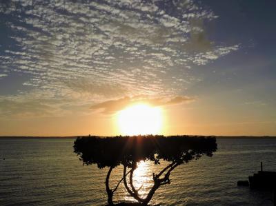 ハーバー島の極上サンセット♪　アメリカンイーグル＆アメリカン航空[エルーセラ島→マイアミ→ニューヨーク]　　ニューヨーク＆バハマ7