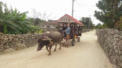 沖縄八重山旅 (3) 竹富島で古き良き沖縄を感じる旅