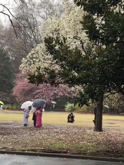２０１８年桜最前線！？雪降る東京メトロ丸ノ内線池袋発荻窪行各駅停車で花見ツアー