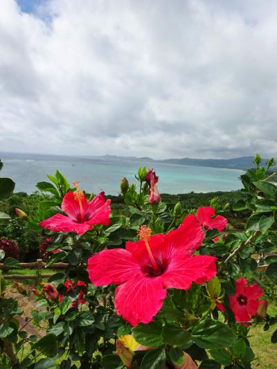 石垣島の碧い風